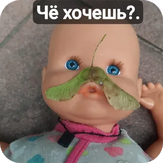 🥸 emoji Антон И Боксёр Telegram sticker 13 of 30