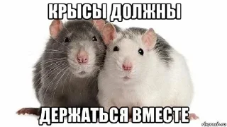 🐀 emoji yupjumanji Telegram sticker 18 of 57