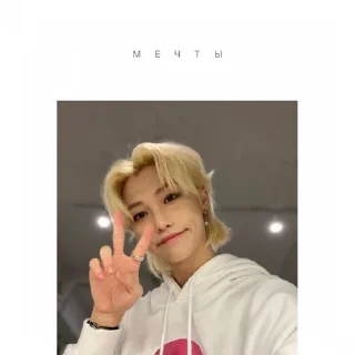 Sticker from Stray kids