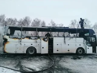 🌟 emoji Выходные Радика🚌 Telegram sticker 8 of 12