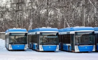 🌟 emoji Выходные Радика🚌 Telegram sticker 5 of 12