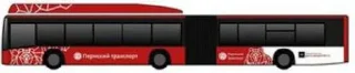 ⭐️ emoji Пермский транспорт @transportrussua Telegram sticker 5 of 16
