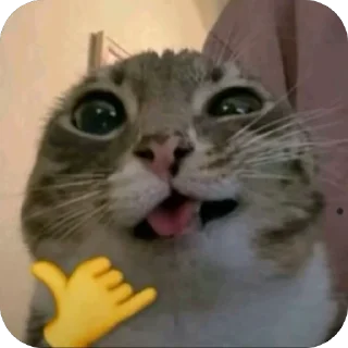 🫥 emoji meme Telegram sticker 19 of 44