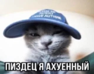 Sticker from котяры хуяры by