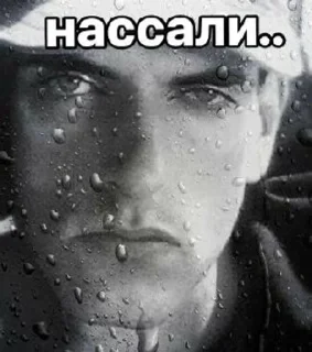😞 emoji культ мияги и зеленого Telegram sticker 13 of 50