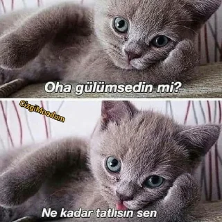 🤔 emoji @fly_venusz @fireqanqUserBot Paketi 1 Telegram sticker 3 of 38