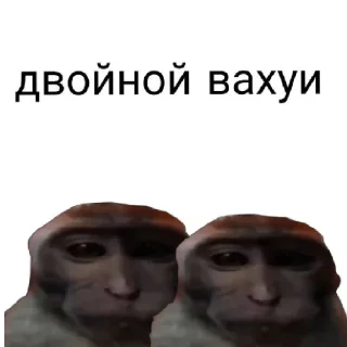 Sticker from ЕСЛИ Я НЕ ТОГО А СТИКИ ДОБАВИЛА ТО Я ВАХУИ