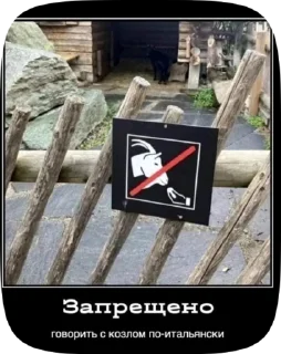 Sticker from Амба и Бэй 2