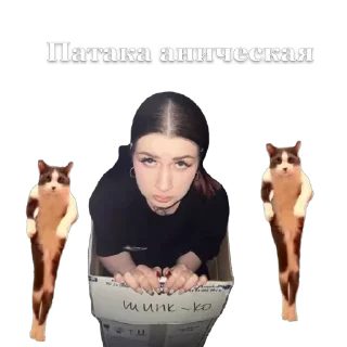 💃 emoji Рабы Telegram sticker 10 of 51