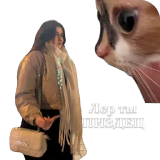 🙃 emoji Рабы Telegram sticker 13 of 51
