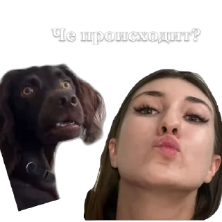 😦 emoji Рабы Telegram sticker 17 of 51