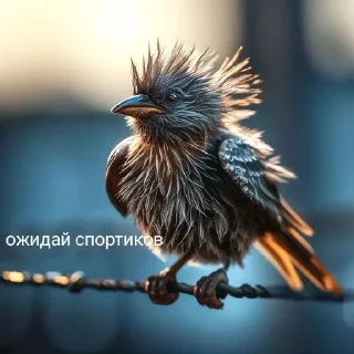🤩 emoji Жди докс @TgEmodziBot Telegram sticker 1 of 7