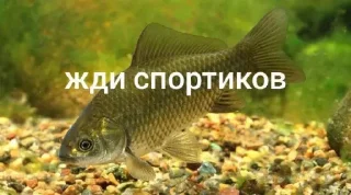 🤩 emoji Жди докс @TgEmodziBot Telegram sticker 3 of 7