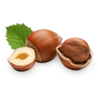 🌰 emoji Больше стиков тут: @stikery4 Telegram sticker 24 of 99
