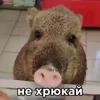 🤩 emoji Срандо момент @TgEmodziBot Telegram sticker 7 of 15