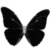 🦋 emoji Axyevshi @firunissk Telegram sticker 4 of 62