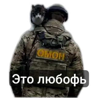 😳 emoji Military, ТГК: @w_w_life ➡️ @Ctikerubot Telegram sticker 21 of 42