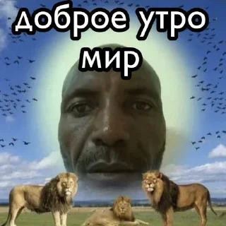Sticker from я варя если что