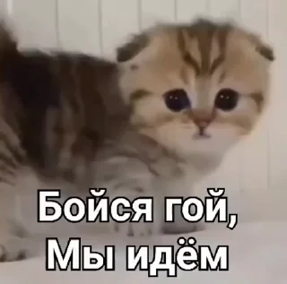 🇮🇱 emoji Больше стиков тут: @stikery4 Telegram sticker 3 of 40