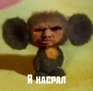 💩 emoji БОЛЬШЕ ⇨ @CLOOBHUB МЕМЫ MEMES ТГ TG Telegram sticker 5 of 118