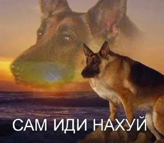 🚵 emoji БОЛЬШЕ ⇨ @CLOOBHUB МЕМЫ MEMES ТГ TG Telegram sticker 6 of 118