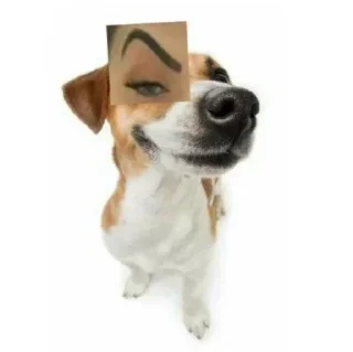 🐇 emoji БОЛЬШЕ ⇨ @CLOOBHUB МЕМЫ MEMES ТГ TG Telegram sticker 19 of 118