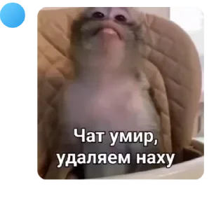 🤽‍♀️ emoji Шутовский забег pack by @QuotLyBot Telegram sticker 5 of 120