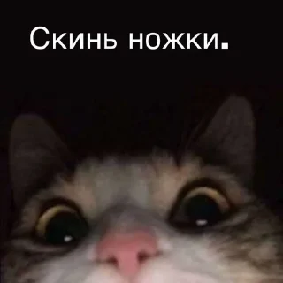 Sticker from Бывает