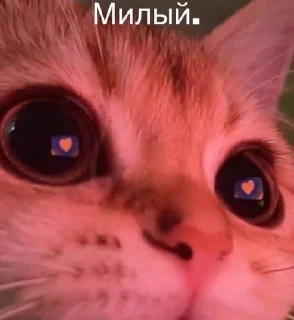 Sticker from Бывает