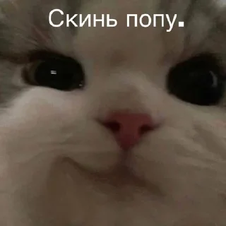 Sticker from Бывает