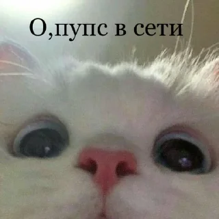 Sticker from Бывает