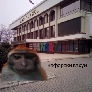 😎 emoji Стикеры @stickrubot @textmeru_bot Telegram sticker 4 of 30