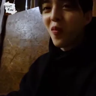 ⭐ emoji ㅤ svt rec coups ; @seventeenstick Telegram sticker 16 of 49