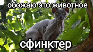 😒 emoji Стикеры @stickrubot @textmeru_bot Telegram sticker 11 of 120