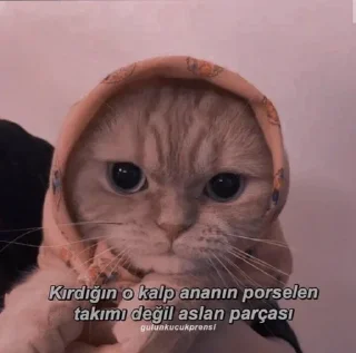 🌟 emoji Şişmə fələk alar havanı pack by @QuotLyBot Telegram sticker 20 of 120