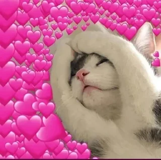 🍓 emoji Şişmə fələk alar havanı pack by @QuotLyBot Telegram sticker 17 of 120