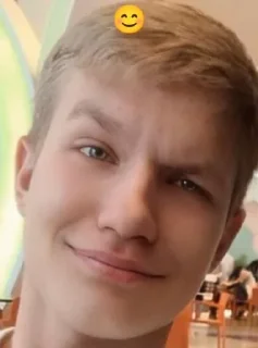 🙂 emoji курин или увенздей?? Telegram sticker 24 of 26