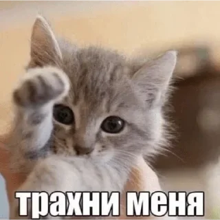 💖 emoji Больше стиков тут: @stikery4 Telegram sticker 20 of 120