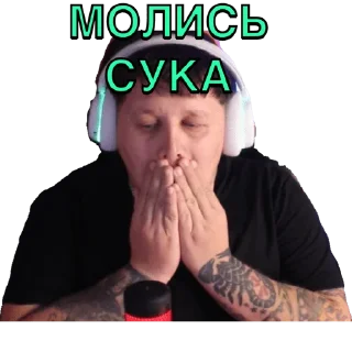 🫡 emoji Lebiga 2.0 Telegram sticker 21 of 24