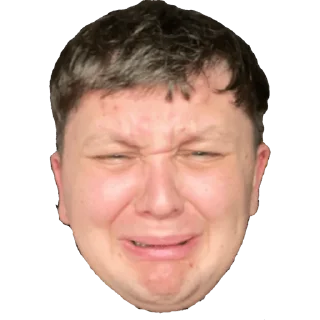 😢 emoji Lebiga 2.0 Telegram sticker 6 of 24