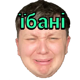 😂 emoji Lebiga 2.0 Telegram sticker 13 of 24