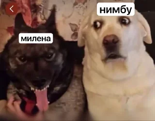 🌟 emoji Убежище Аллаха pack by @QuotLyBot Telegram sticker 2 of 96
