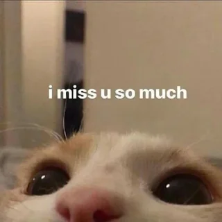🥺 emoji Больше стиков тут: @stikery4 Telegram sticker 4 of 118