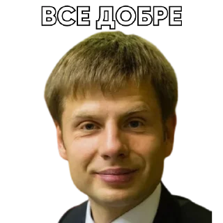 👍 emoji Гончаренко Telegram sticker 24 of 36