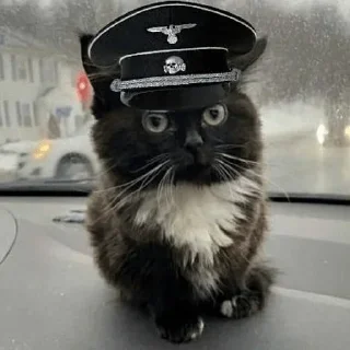 🇩🇪 emoji Больше стиков тут: @stikery4 Telegram sticker 11 of 76