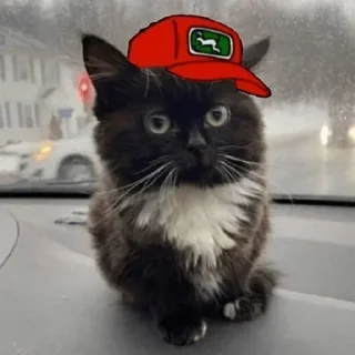 🧢 emoji Больше стиков тут: @stikery4 Telegram sticker 23 of 76