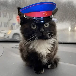 🔫 emoji Больше стиков тут: @stikery4 Telegram sticker 7 of 76