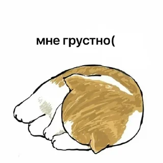 😢 emoji котики-бегемотики Telegram sticker 16 of 103