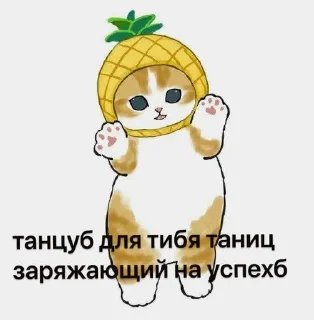 🕺 emoji котики-бегемотики Telegram sticker 9 of 103