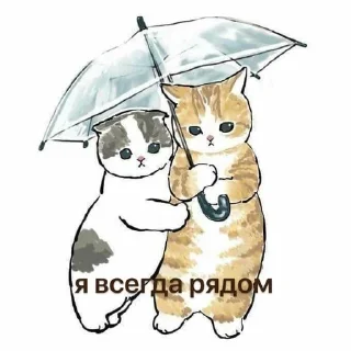 🥰 emoji котики-бегемотики Telegram sticker 18 of 103